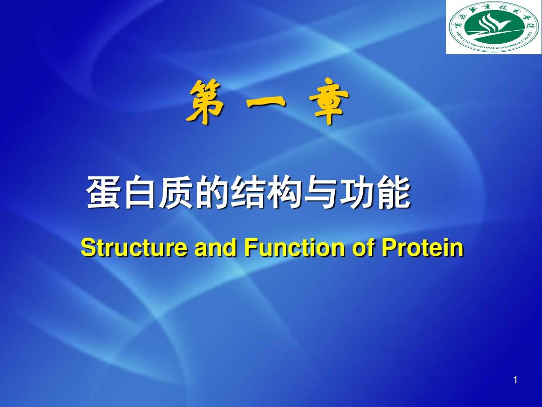 蛋白质的结构与功能介绍