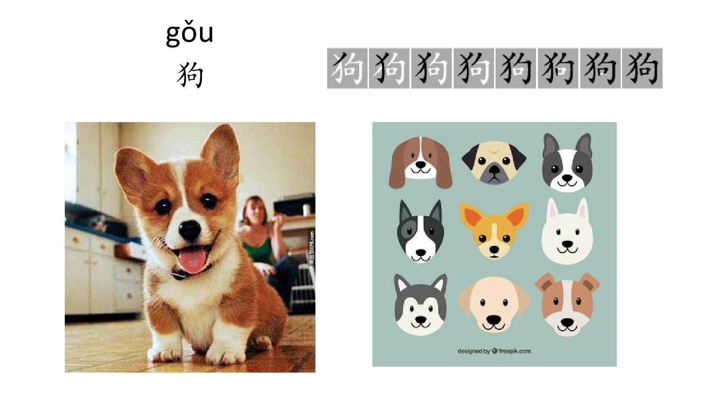对外汉语教学之动物词汇教学