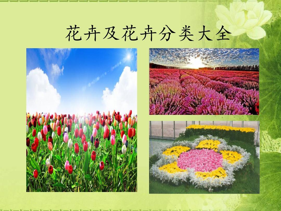 花卉及花卉分类