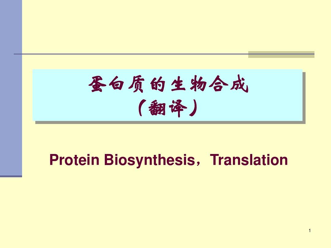 蛋白质的生物合成(翻译)