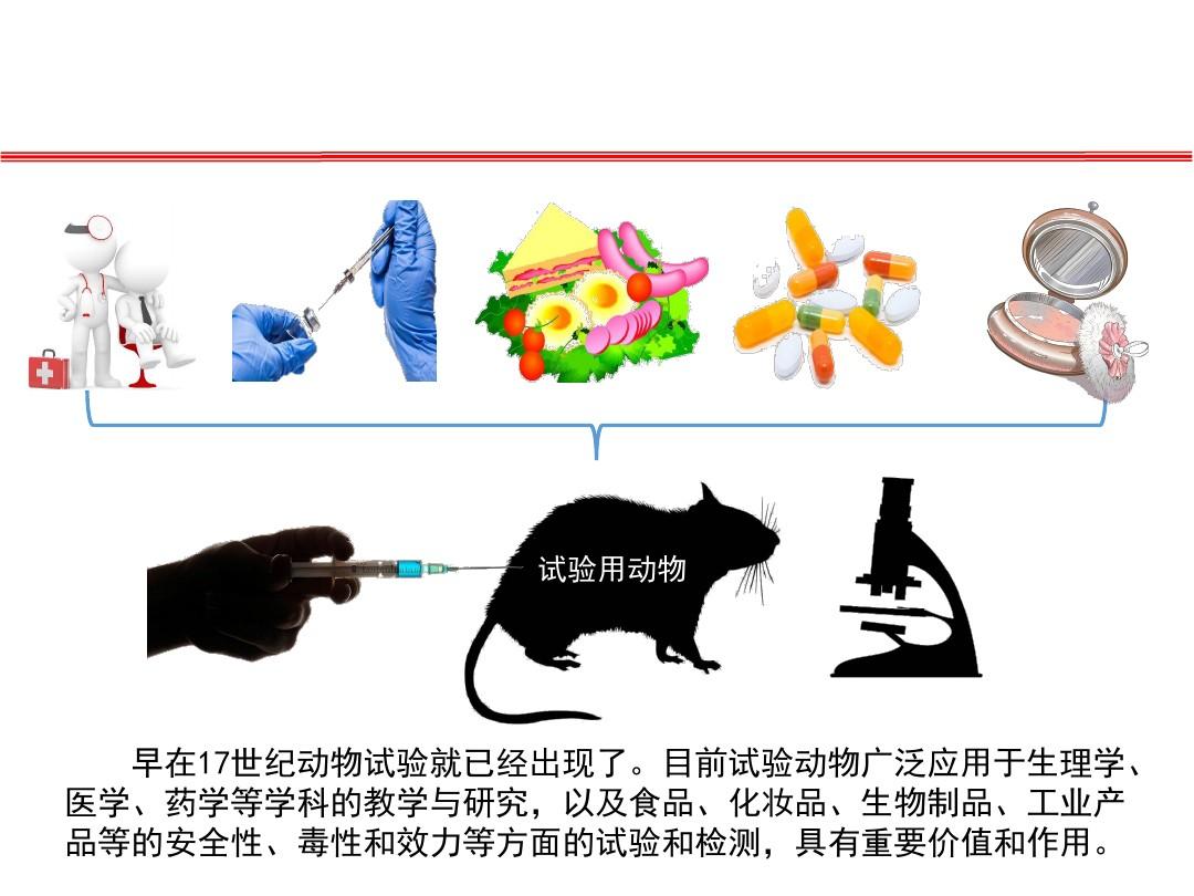 基因修饰在人源化肝脏小鼠建模中的应用