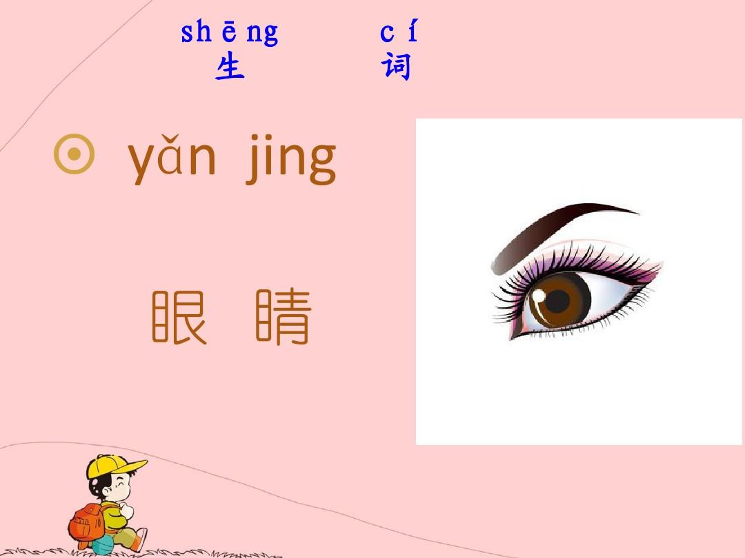 体验汉语第一册第五课 我的眼睛很大
