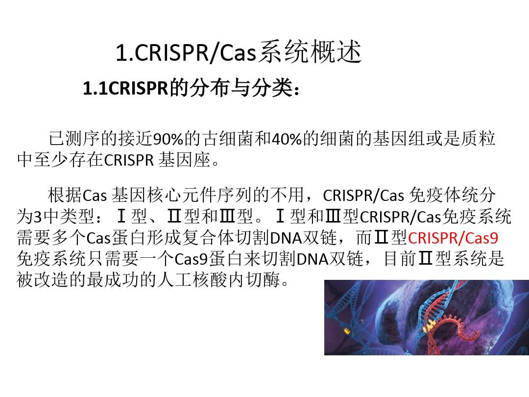 CRISPR Cas 基因编辑技术简介