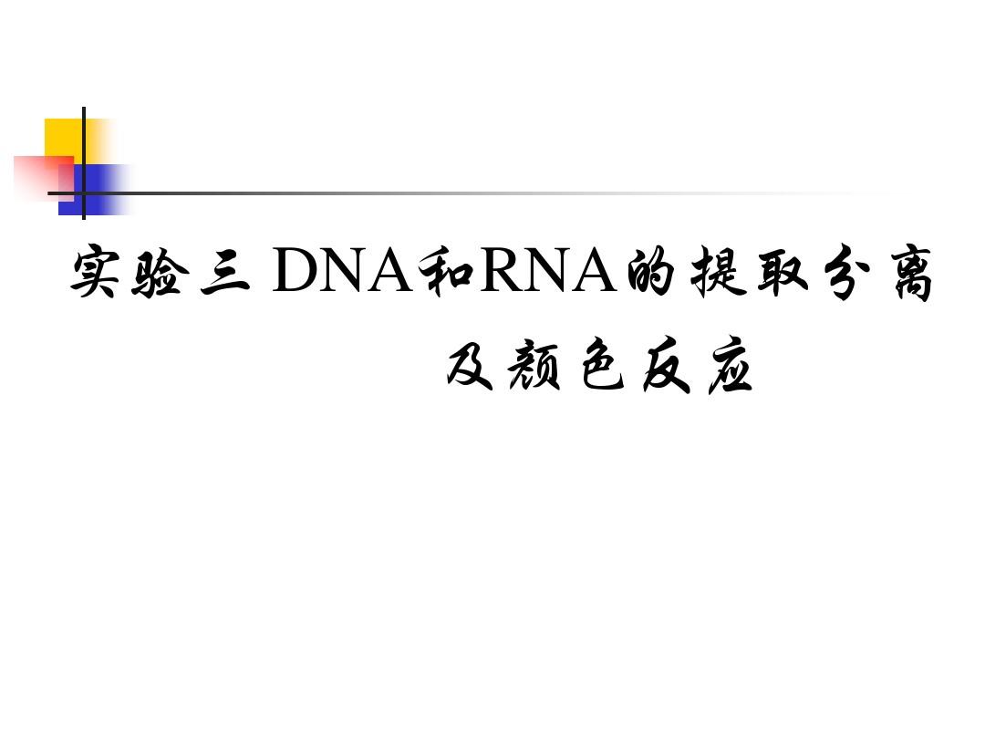 DNA和RNA 的分离及显色
