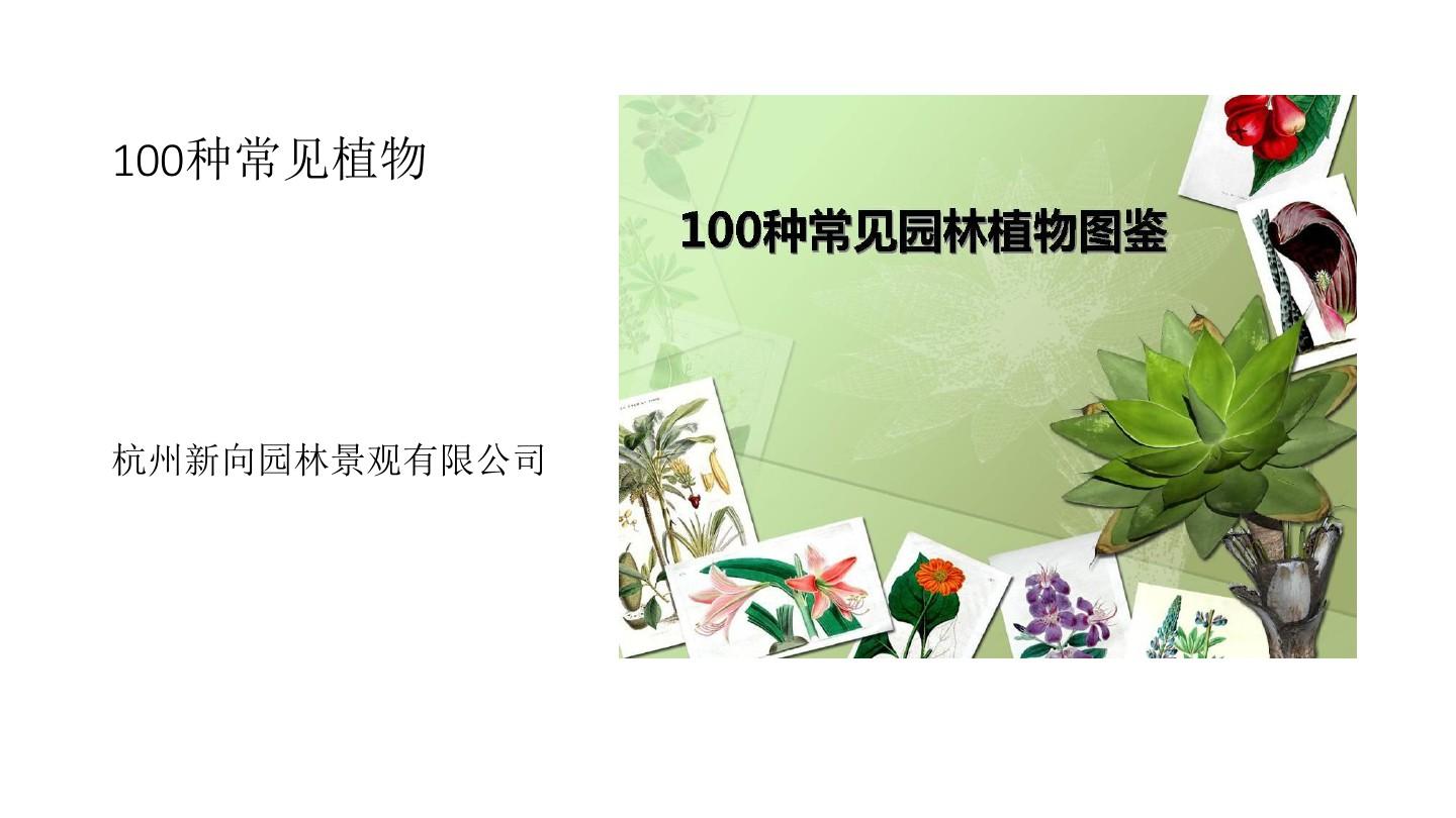 100种常见植物