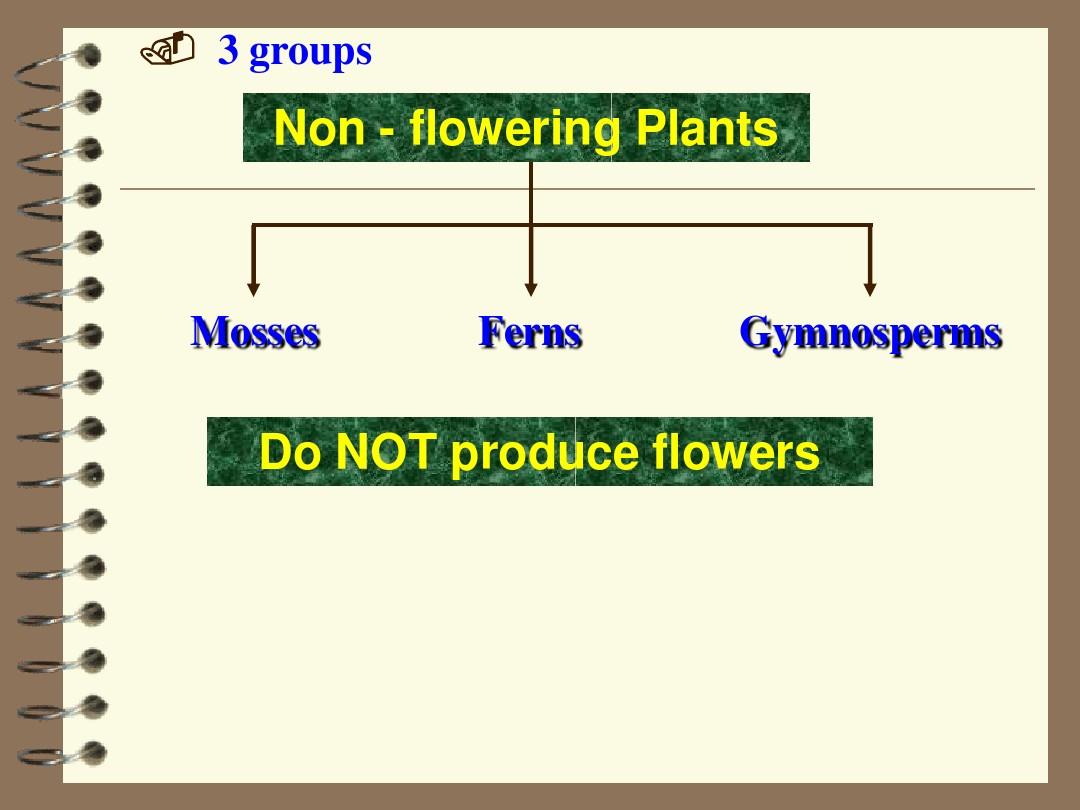 植物分类英文版