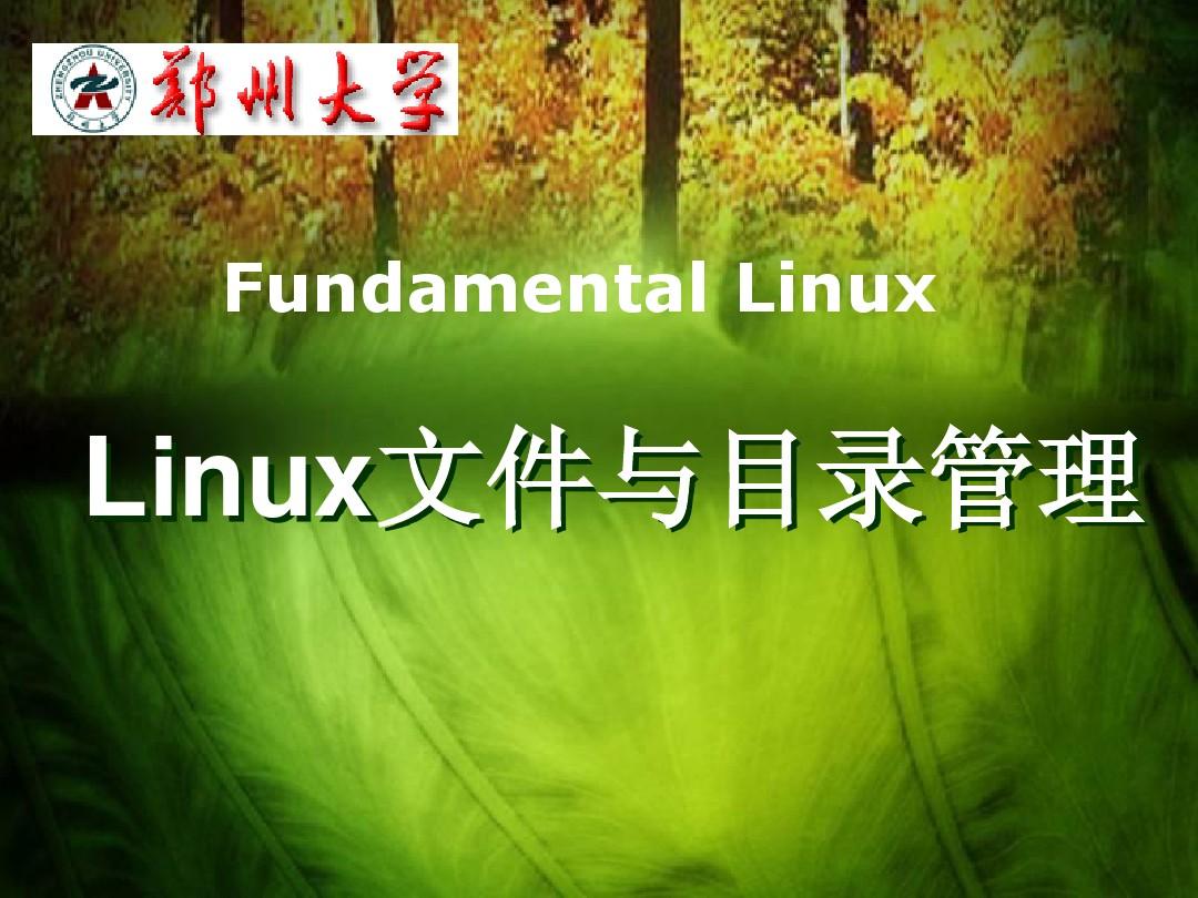 linux文件与目录管理