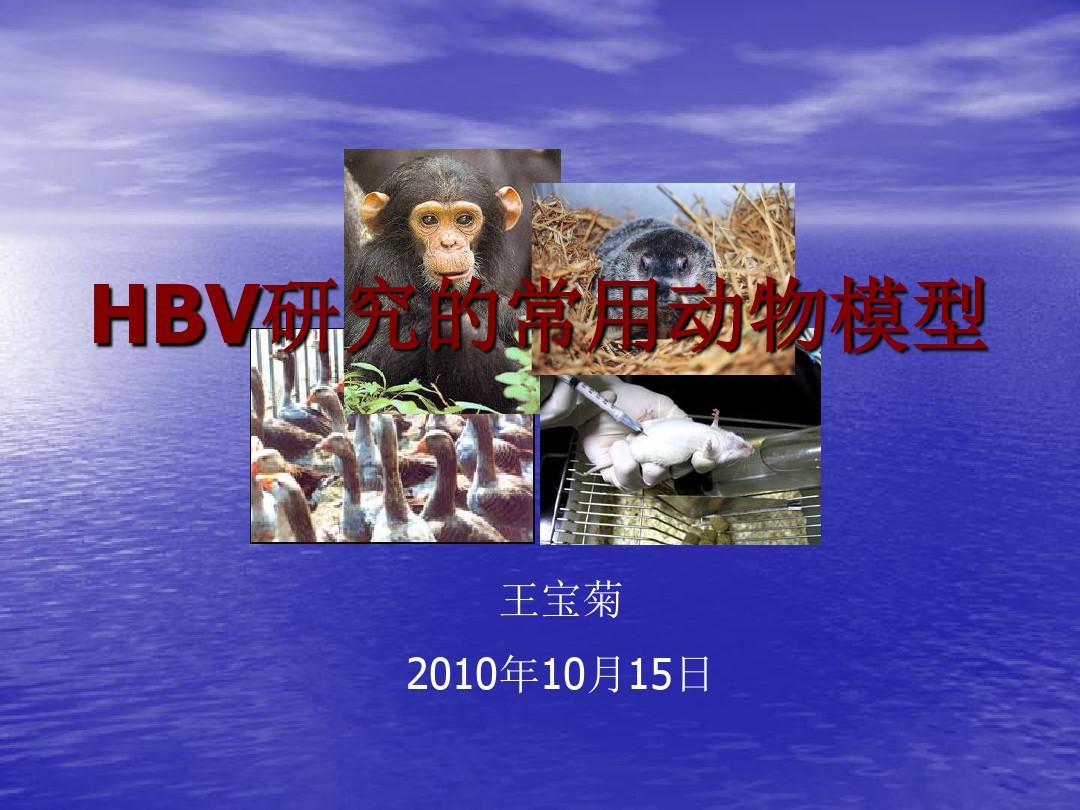 HBV研究的动物模型