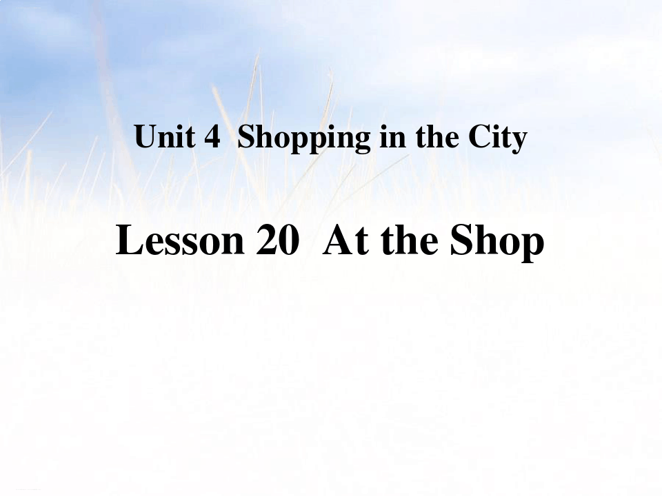 《At the Shop》Shopping in the City PPT教学课件(完美版)