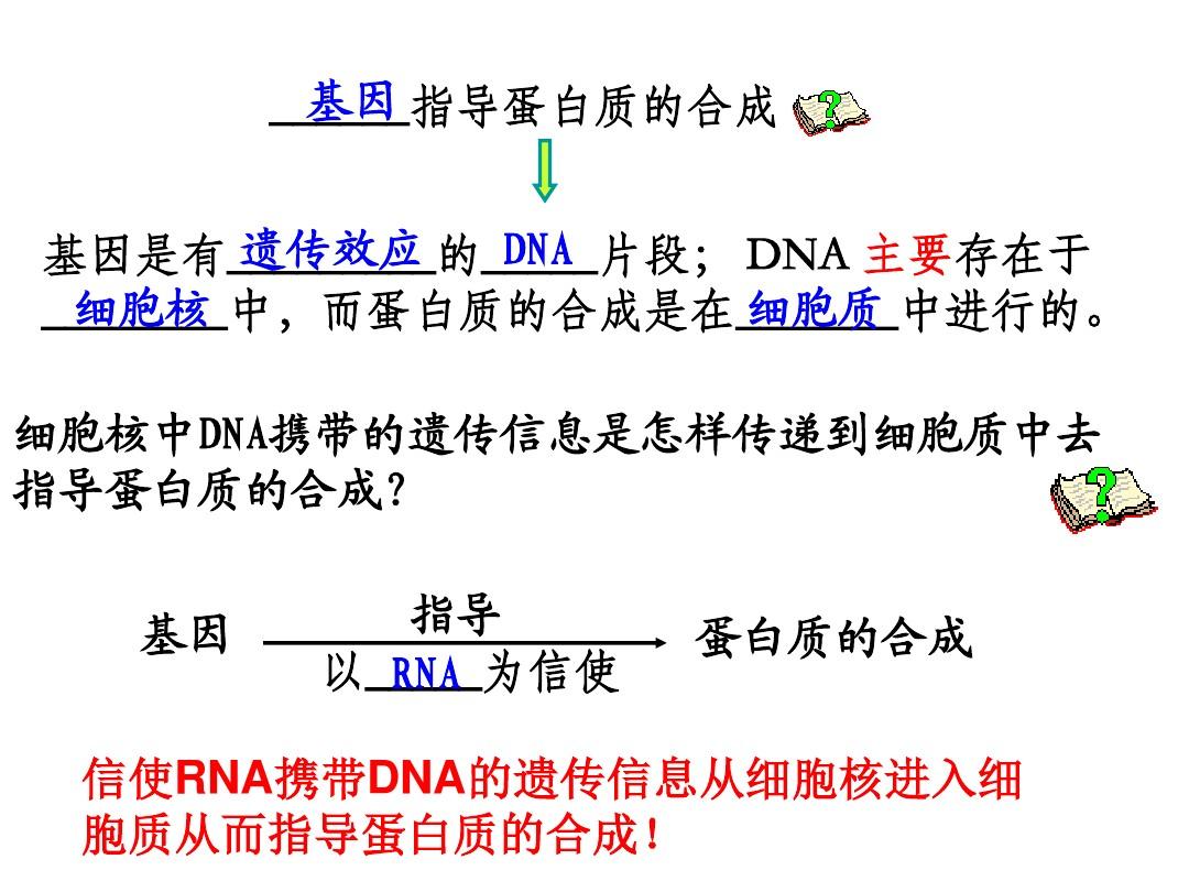 §4.1基因指导蛋白质的合成