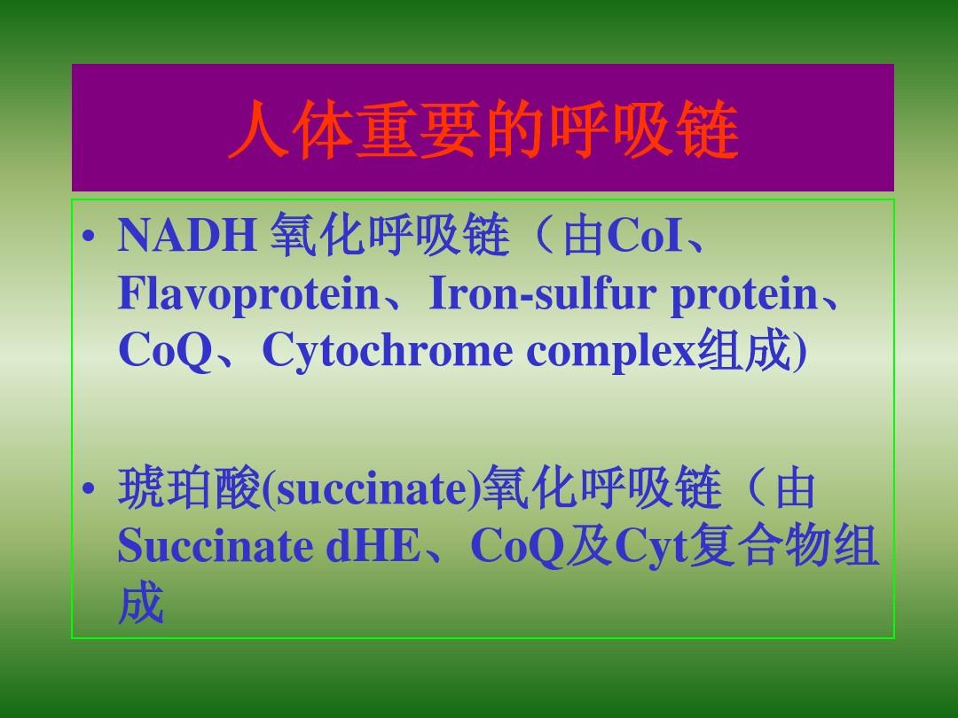 浙江大学生物化学与分子生物学笔记生物氧化2