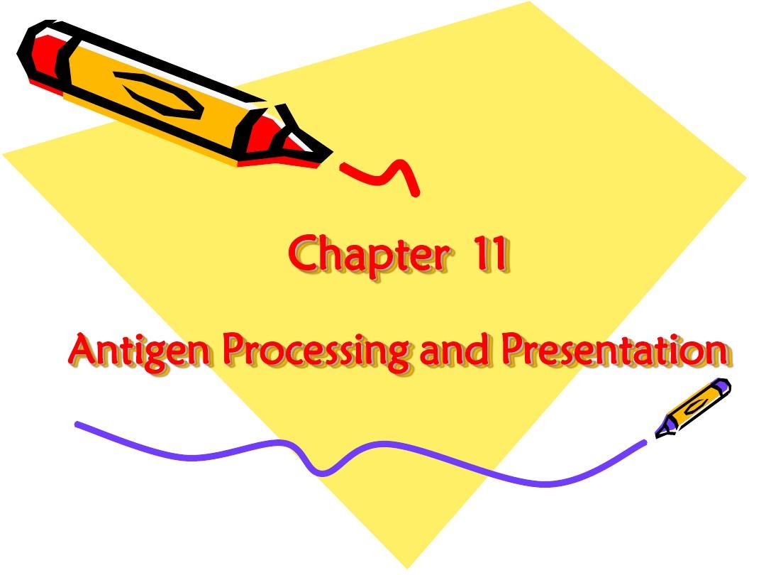 Chapter11 antigen processing and presentation