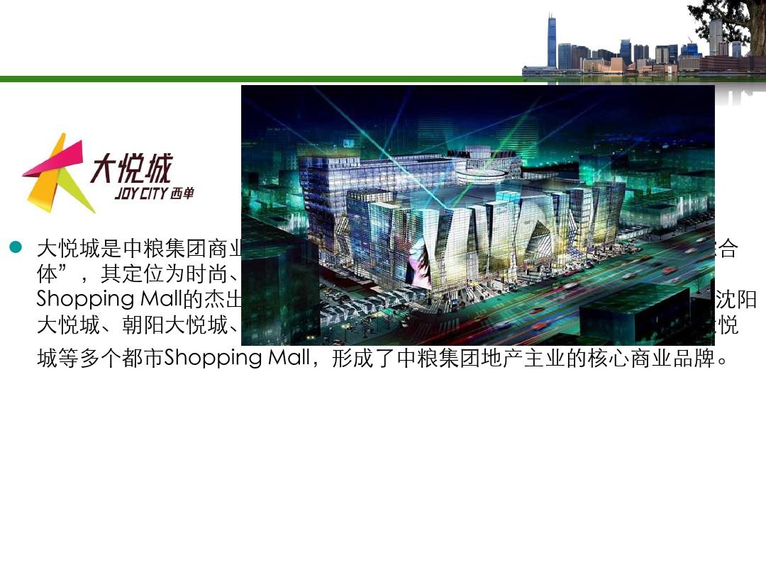 2019年北京西单大悦城项目市场调研报告