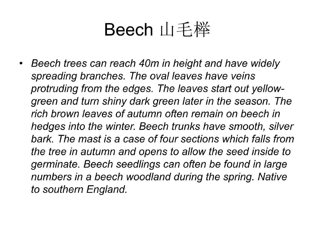 Trees, flowers and birds common in Britain英国文学 教学课件
