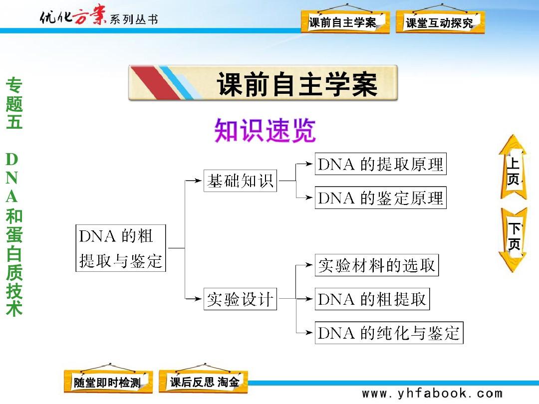 专题五  课题1  DNA的粗提取与鉴定