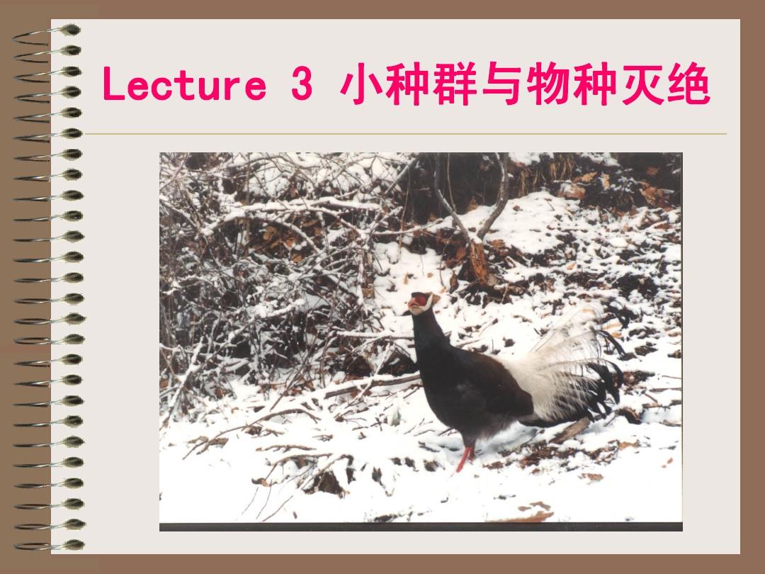 北师大生科保护生物学课件lecture3(2011)