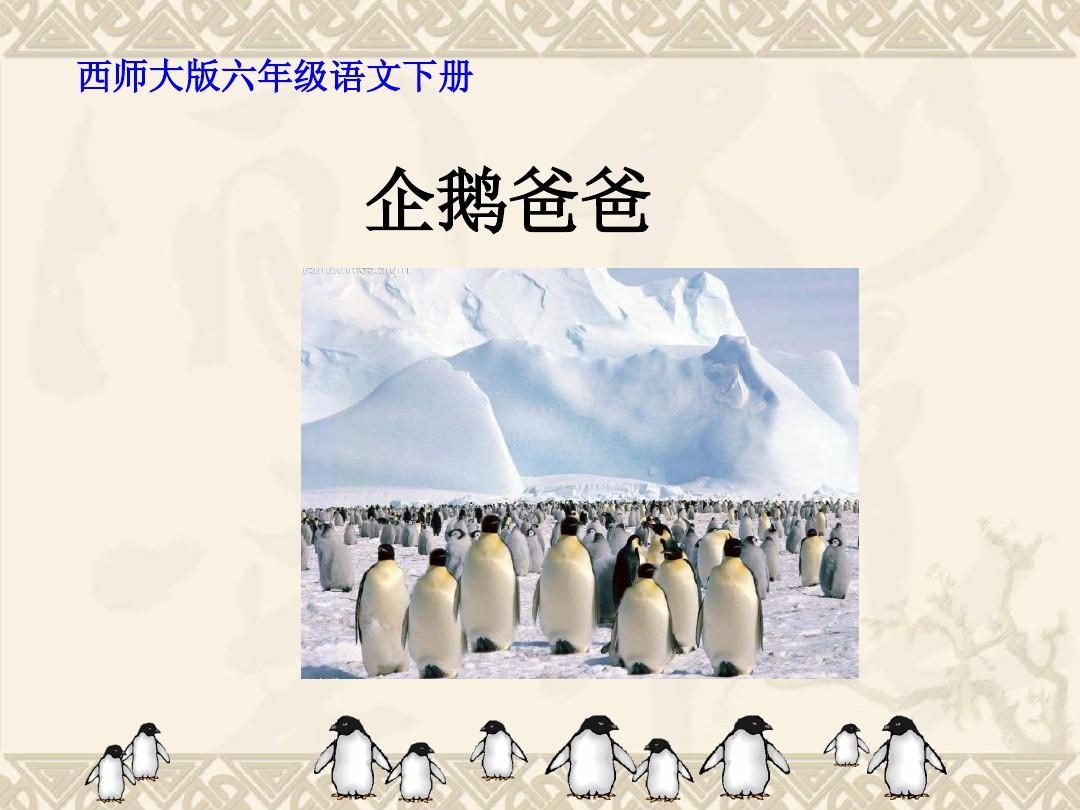 六年级语文下册 企鹅爸爸 1课件 西师大版