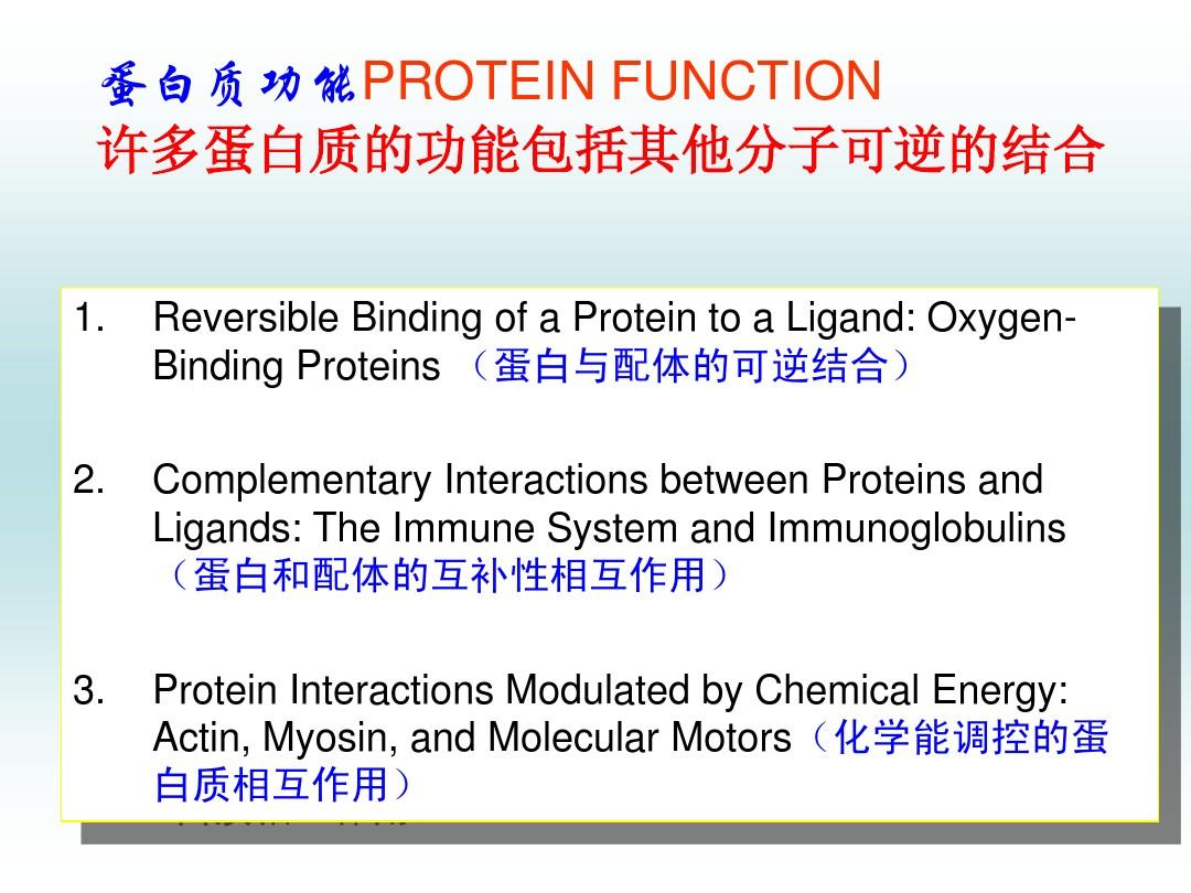 蛋白质结构与功能的 关系