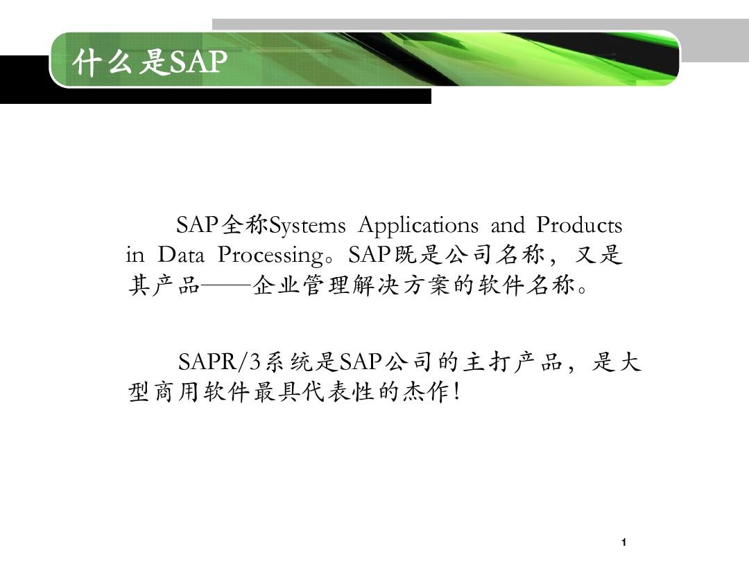 SAP-ERP简介