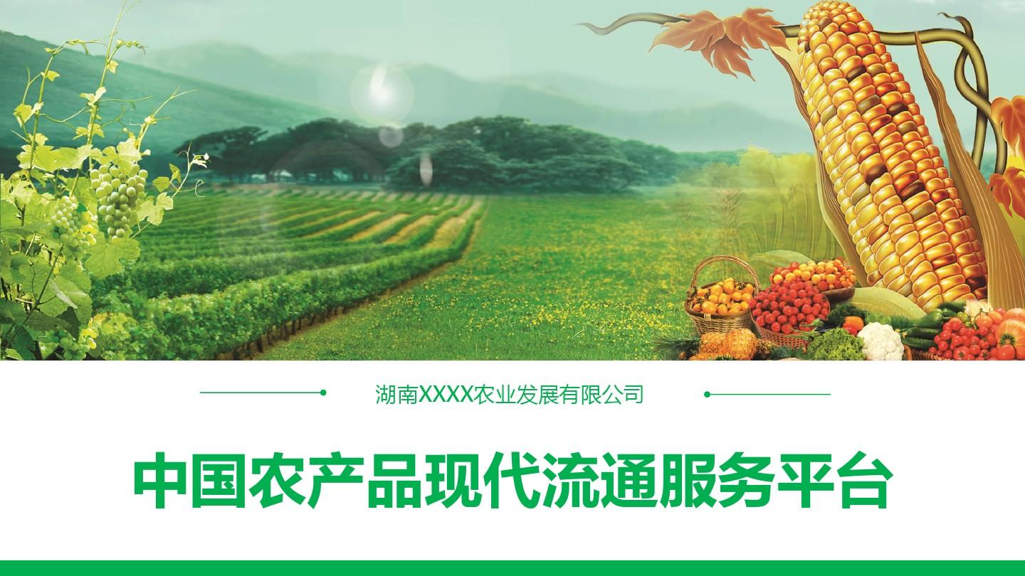 中国农产品现代流通服务平台ppt解决方案