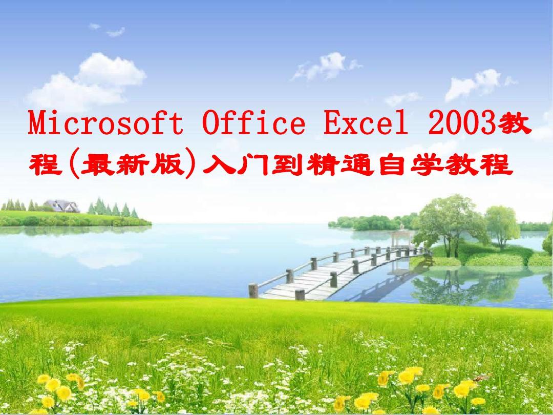 MicrosoftOfficeExcel2003从入门到精通实例教程最全版