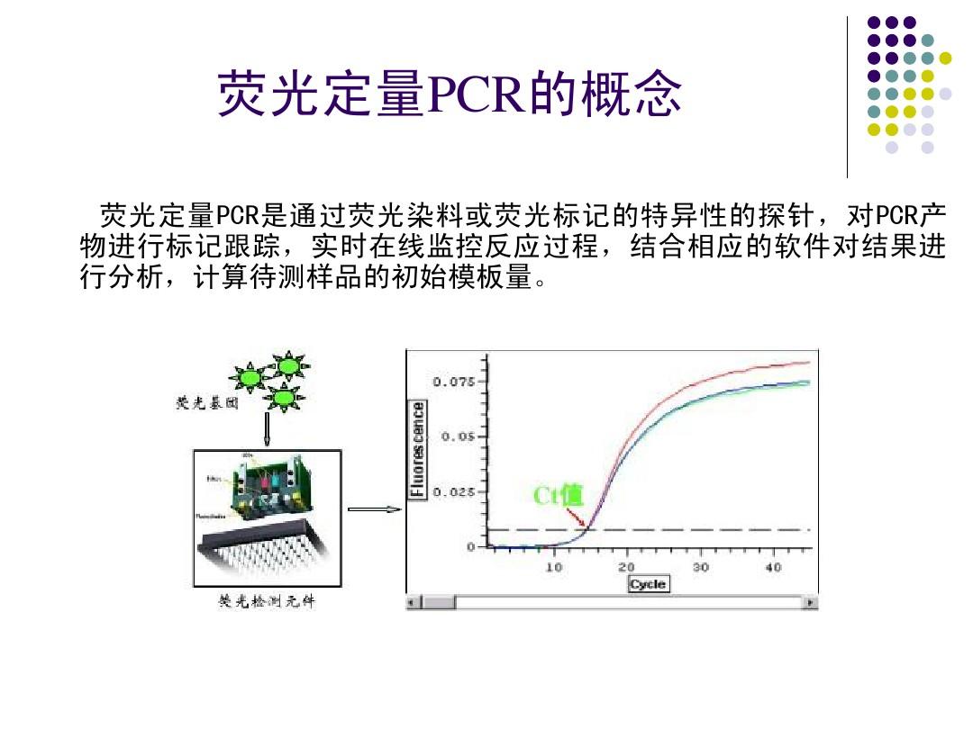 荧光定量PCR——伯信生物