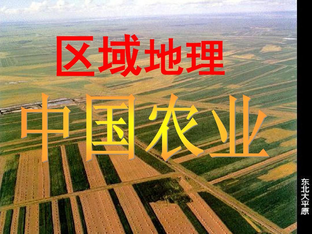 区域地理—中国农业ppt
