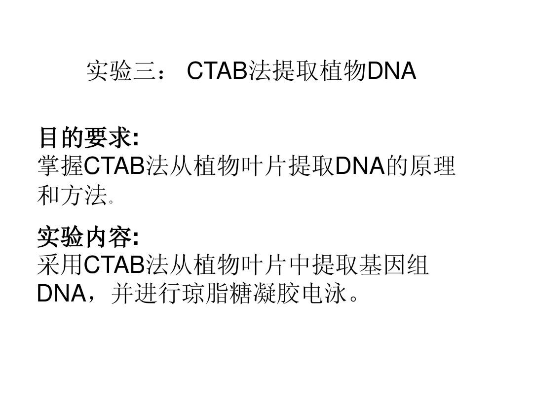 CTAB法提取植物DNA