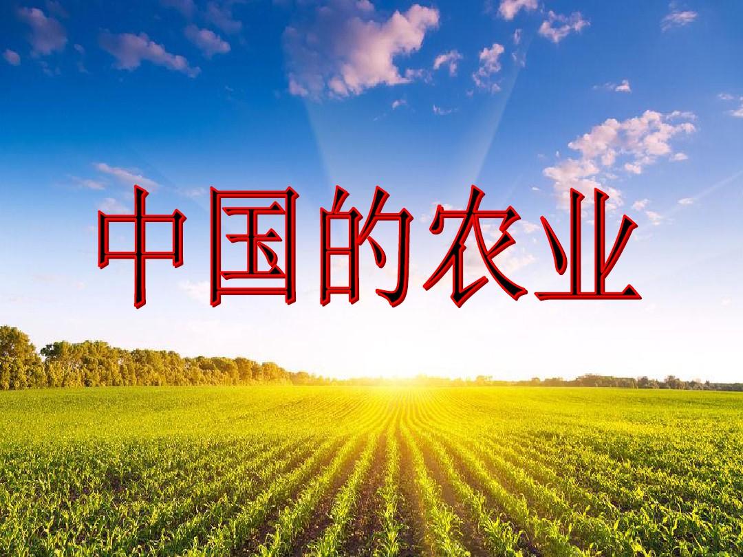 区域地理-中国的农业(公开课)ppt