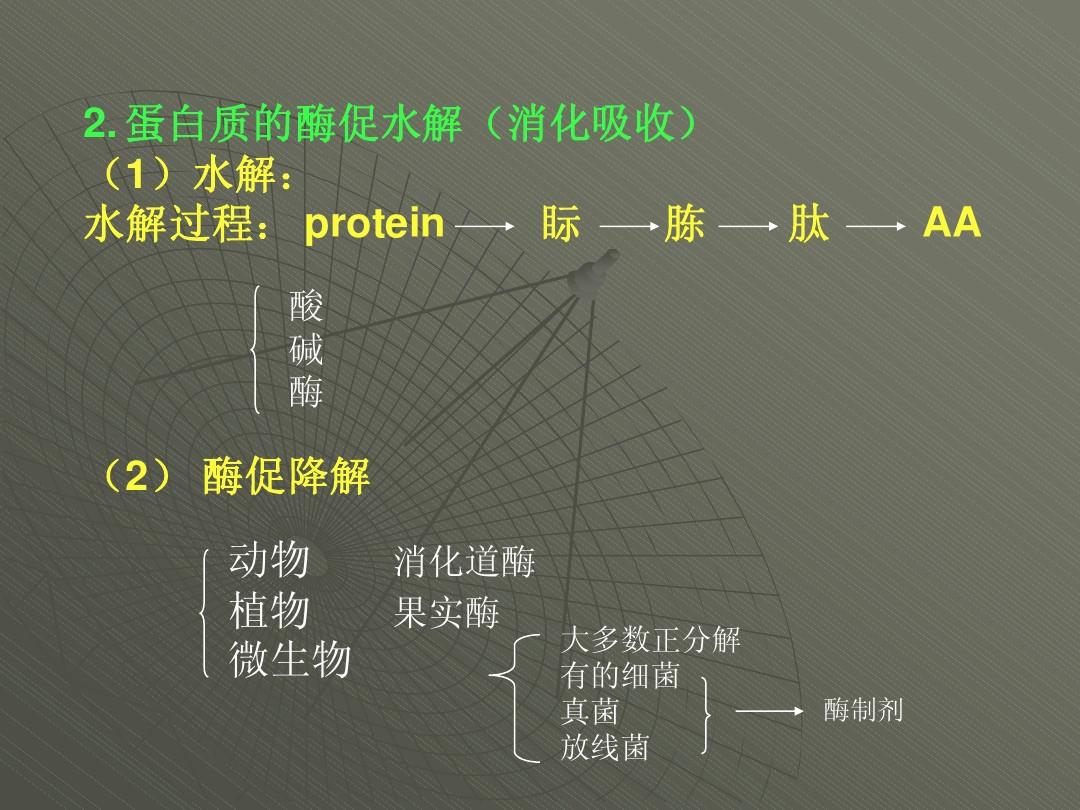浙江大学王镜岩生物化学(甲)上第07章 蛋白质降解及氨基酸代谢