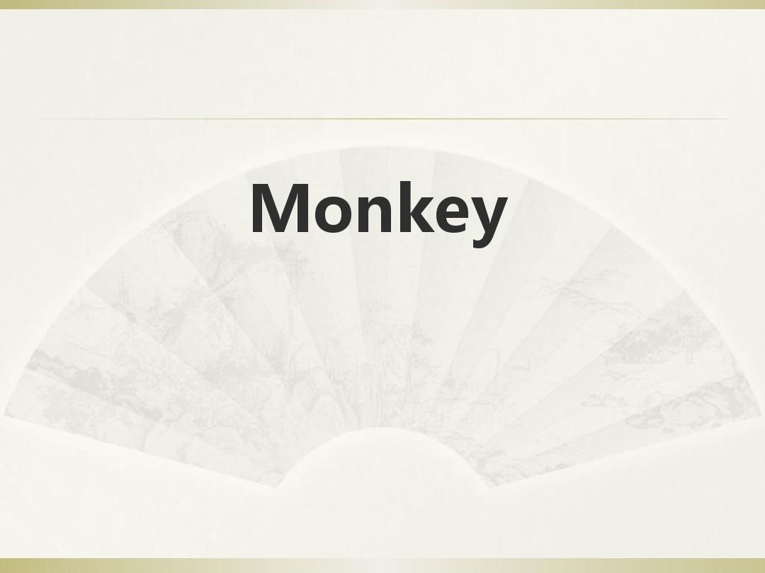Monkey分析