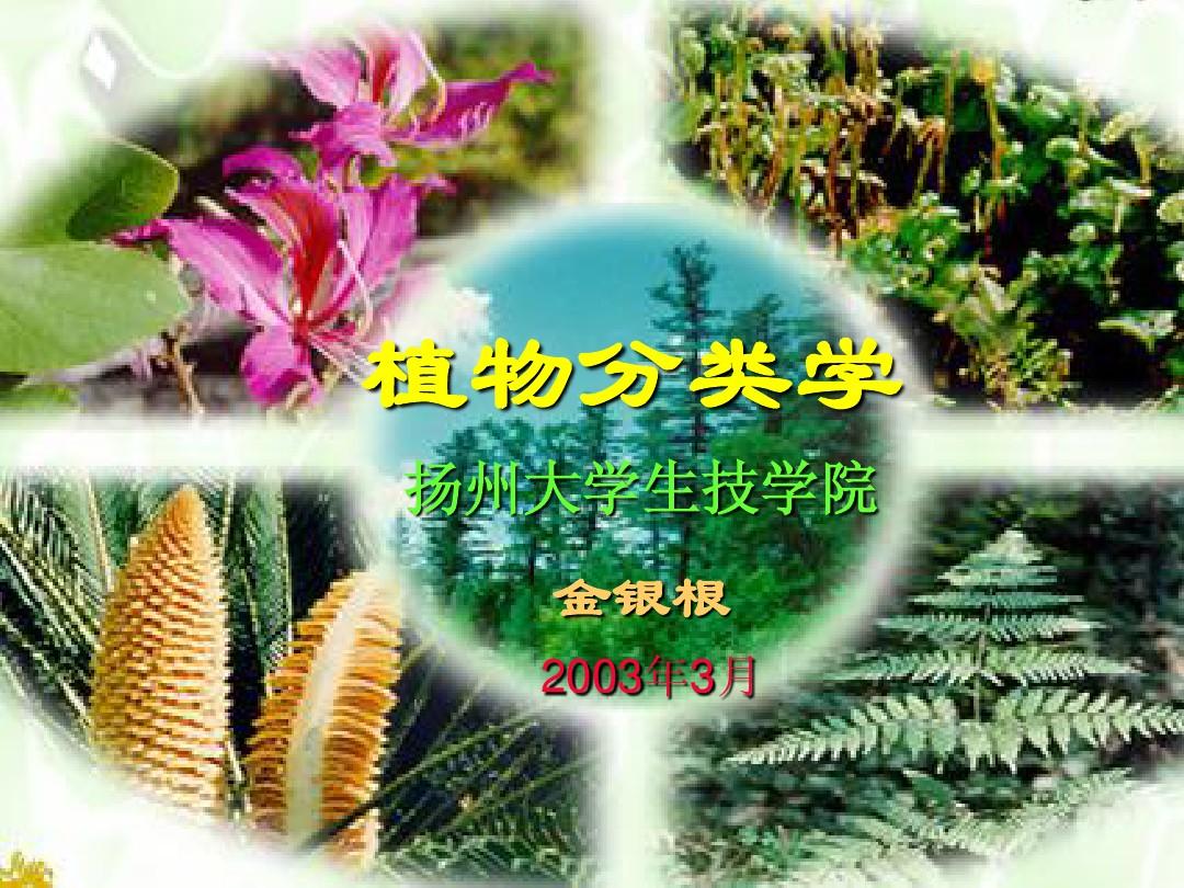 植物分类学和植物分类系统