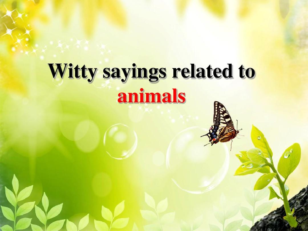 与动物有关的英文谚语