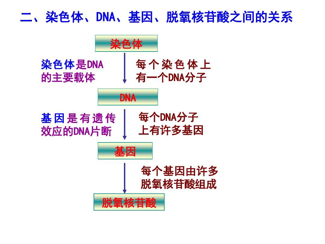 第4节 基因是有遗传效应的DNA片段