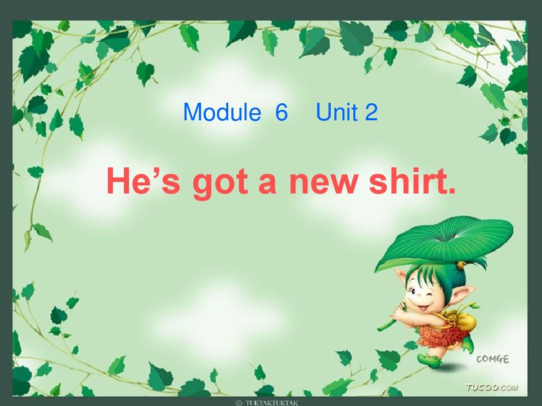 三上M6U2 Hes got a new shirt课件