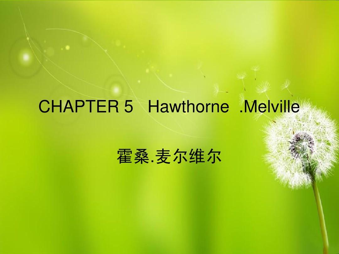 CHAPTER 5   Hawthorne