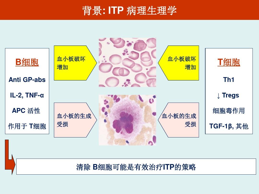 ITP(特发性血小板减少性紫癜)治疗流程图原始