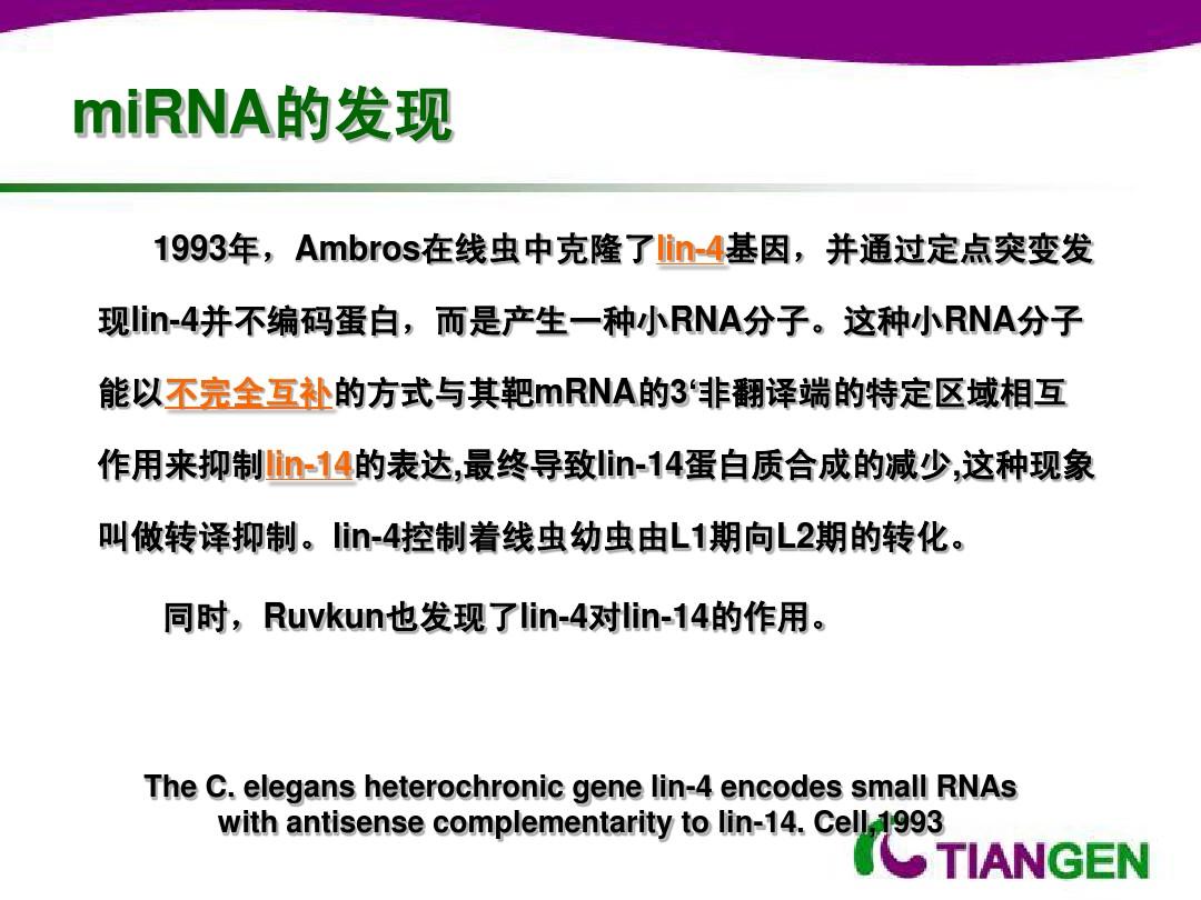 miRNA的提取与检测