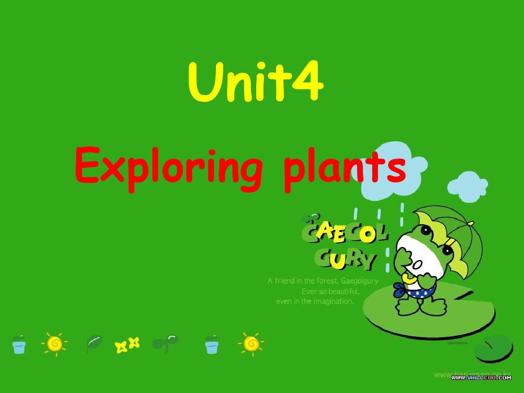 高三选修9 Unit 4 Exploring plants[全套课件]