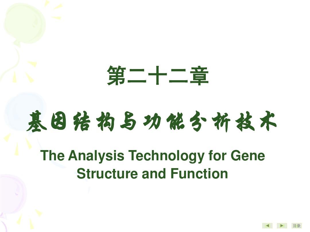 22 基因结构与功能分析