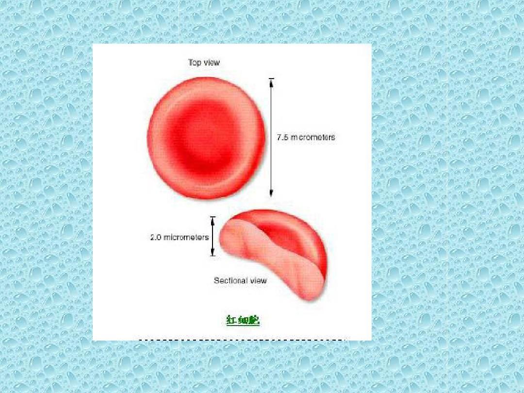 血液常规检验项目及临床意义讲解