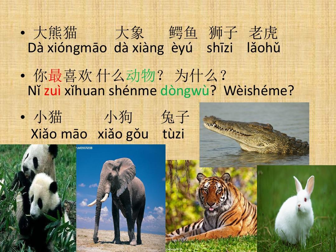 汉语会话301句 第17课：去动物园
