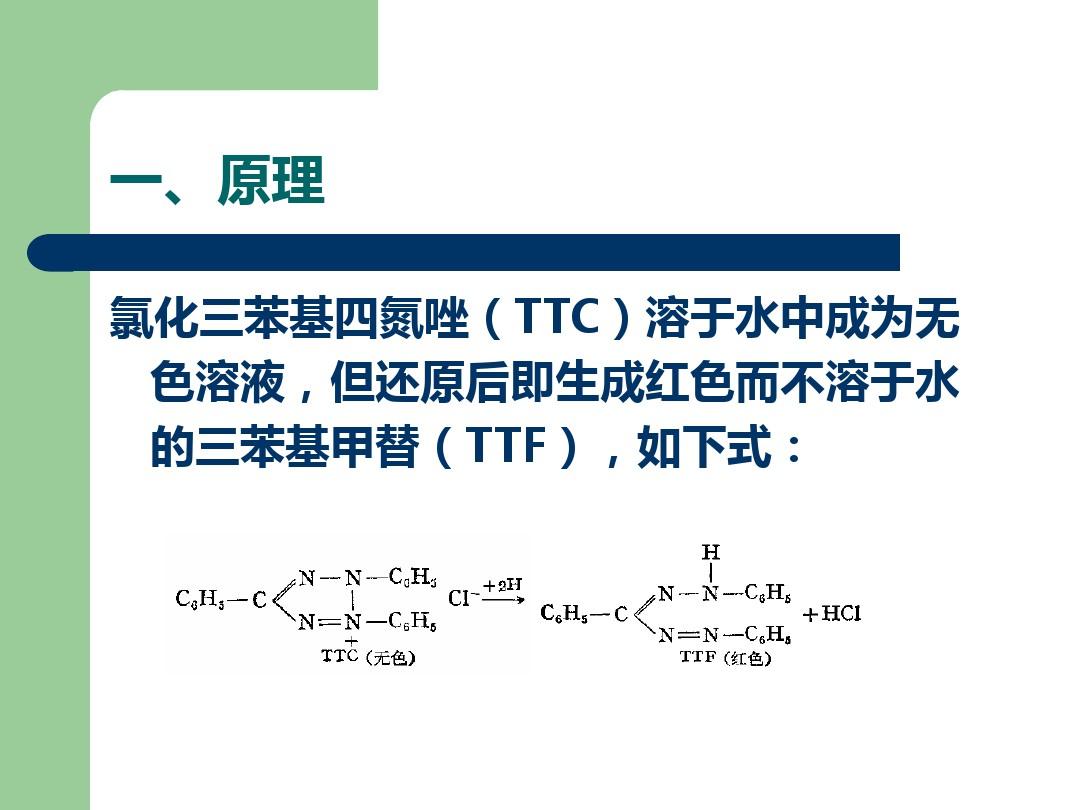 植物生理学实验 氯化三苯基四氮唑(TTC)法测定根系活力