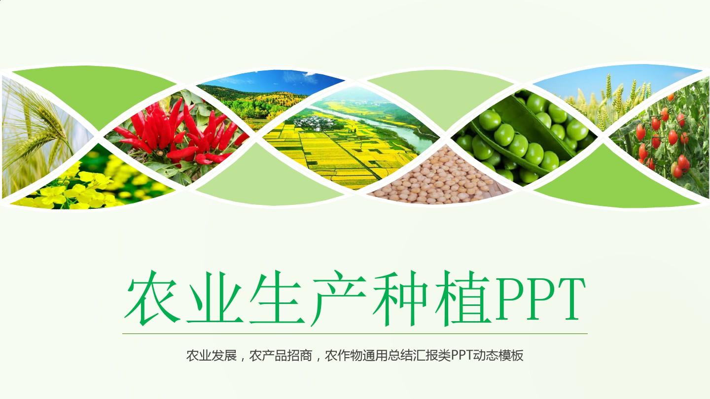 农业生产种植PPT