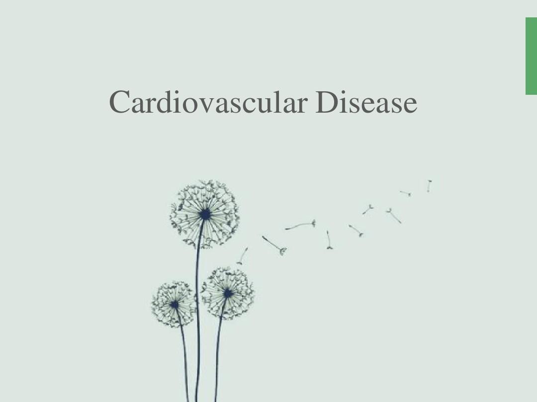 心血管病(英语演讲)Cardiovascular-Disease