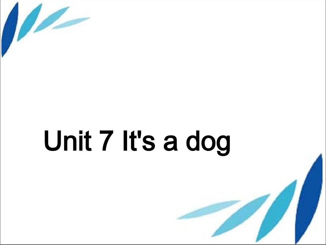 三年级上册英语Unit 7it’s a dog