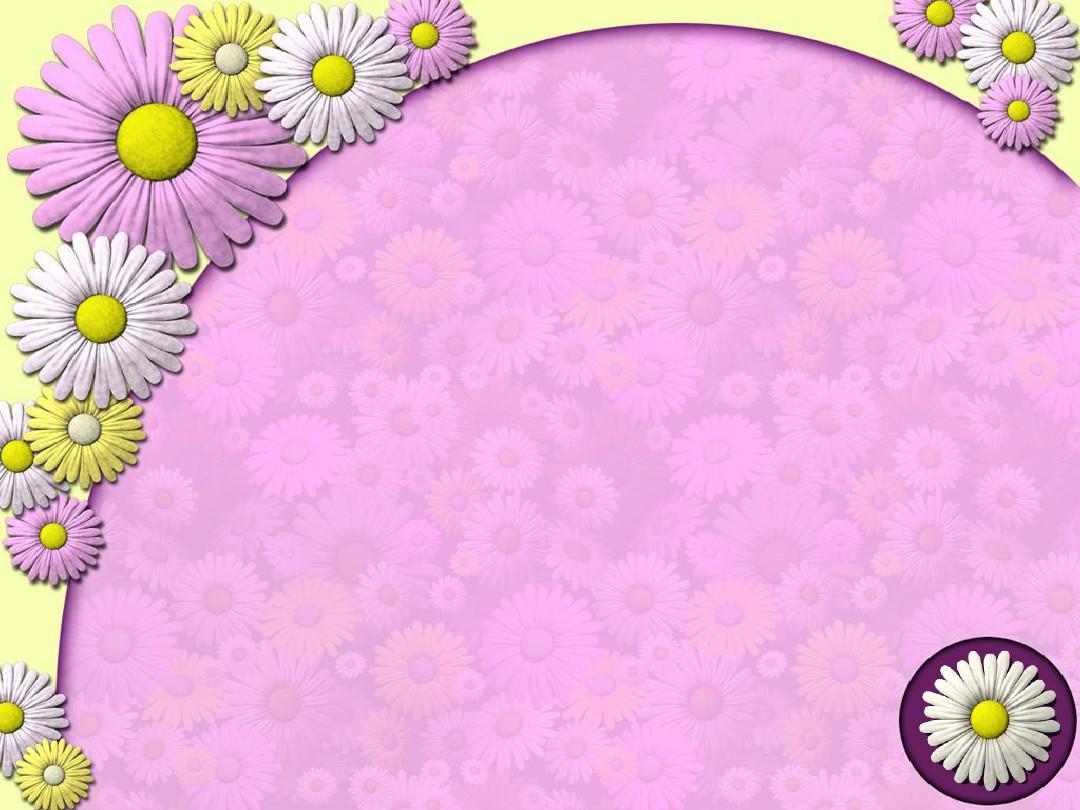 【精品模板】精美大自然PPT模板pink_flower020
