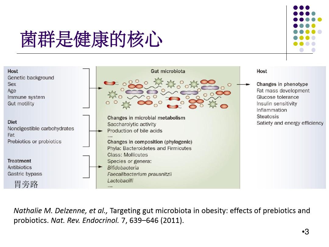 (医学课件)肠道菌群与人体代谢疾病