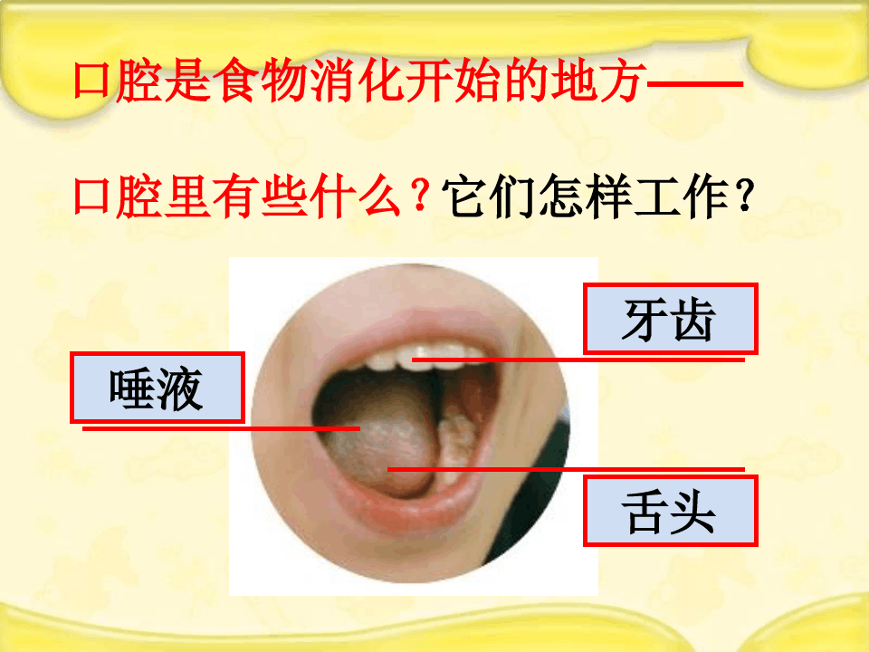 食物在口腔里的变化(1)