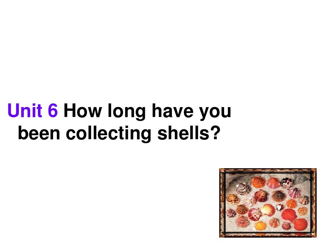 How-long-have-you-been-collecting-shells课件5
